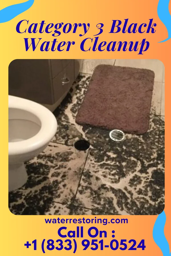Category 3 Black Water Cleanup in Woodruff, UT